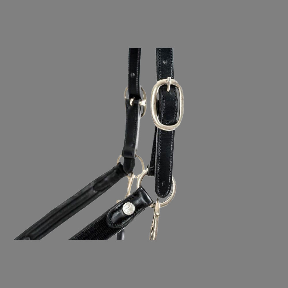 Isabell Werth Leder Halfter Satchmo schwarz-Cob