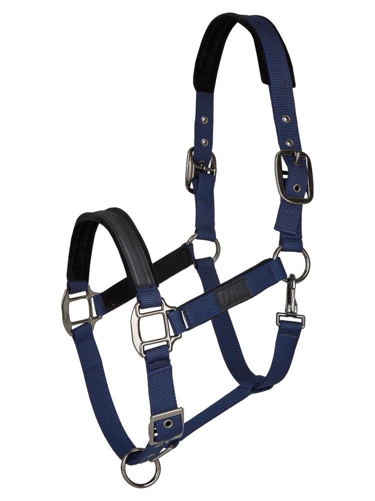 Tim´s Halfter navy-Cob