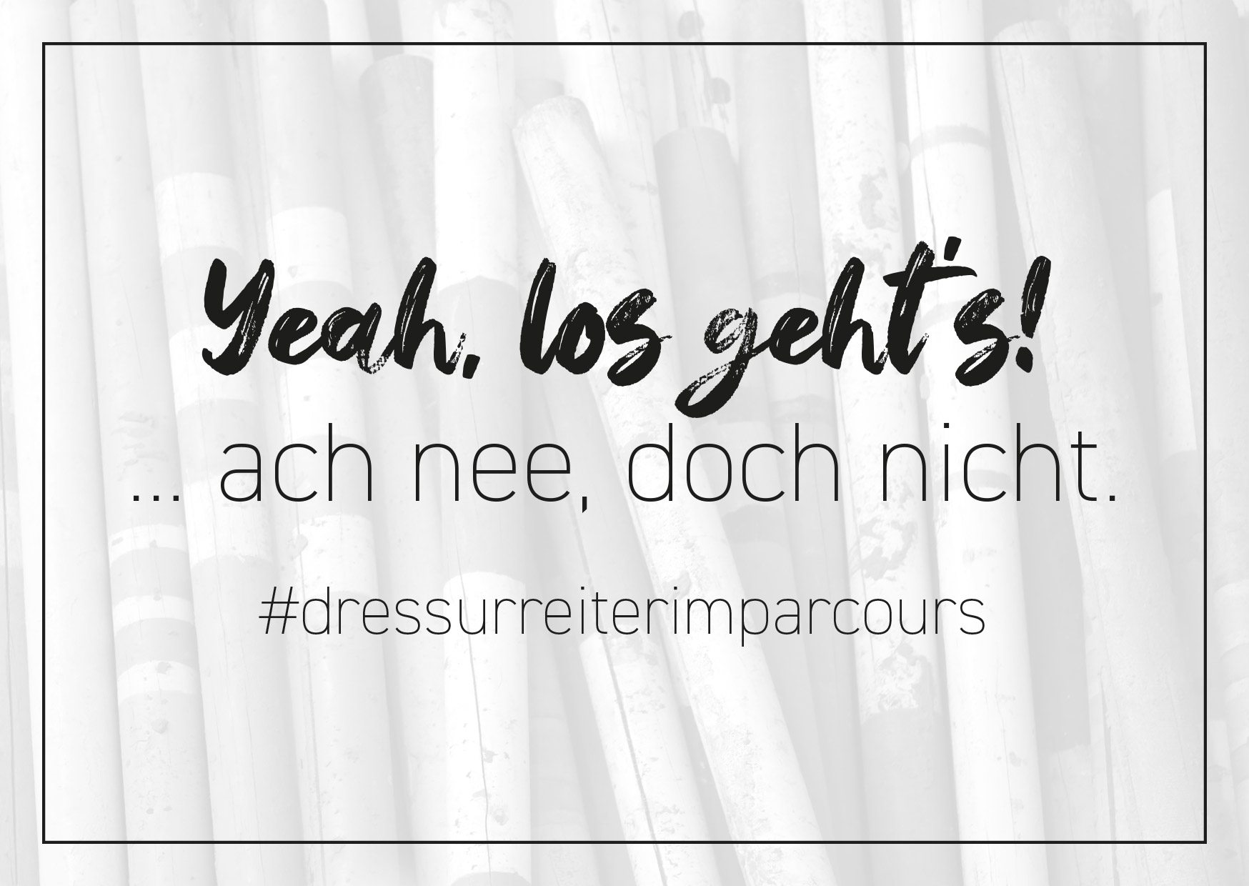 Postcard "dresurreiterimparcours"