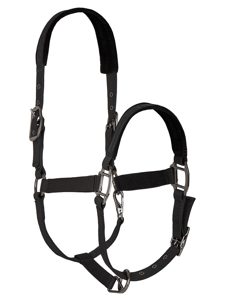 Tim´s Halfter Set mit Führstrick (Karabiner) schwarz-Cob