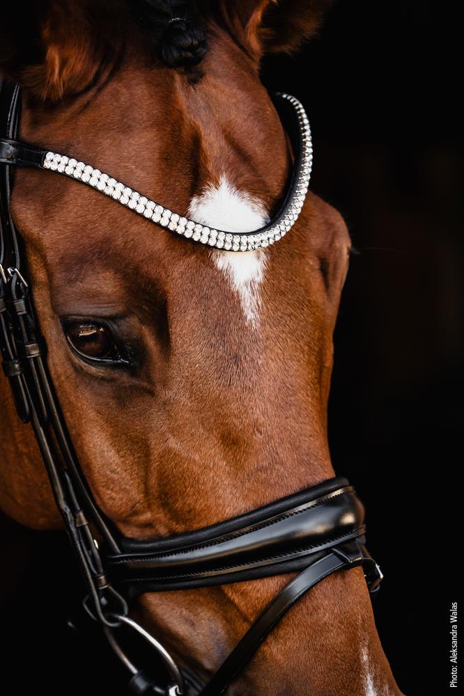 Isabell Werth Trense Johnny black/silver