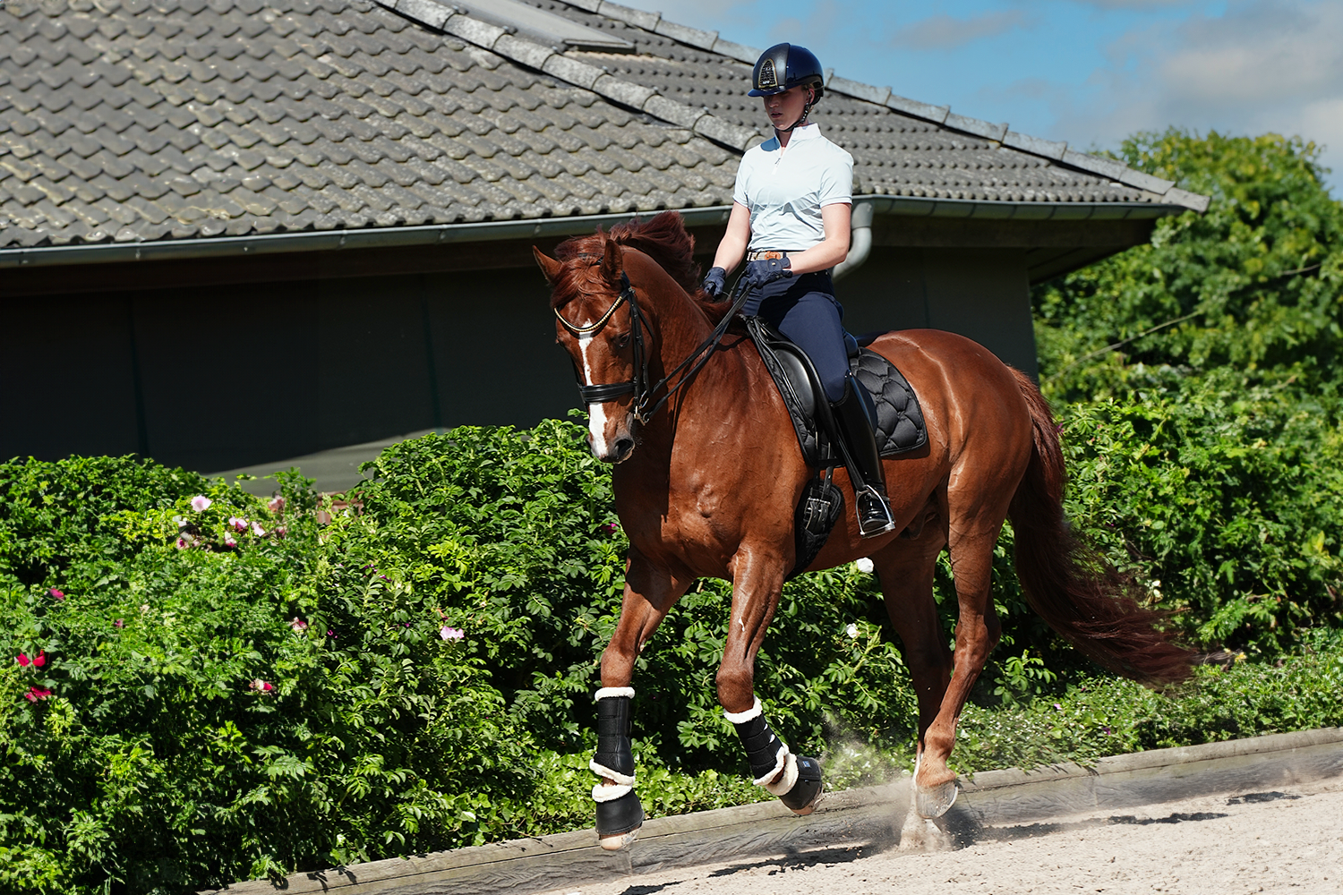 gamaschen_4566