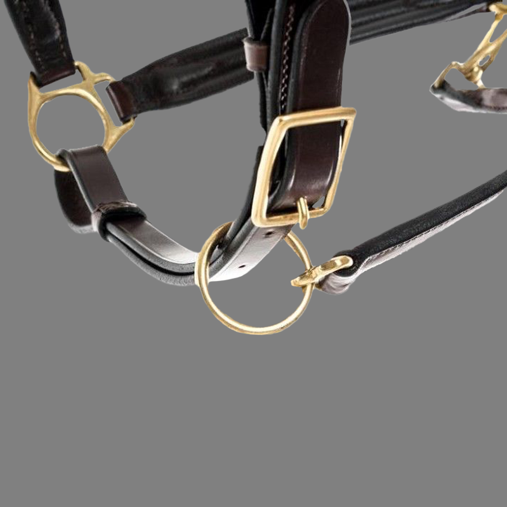 Isabell Werth Leder Halfter Satchmo dark brown-Cob