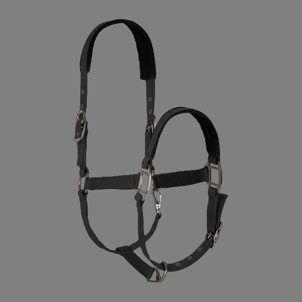 Tim´s Halfter schwarz Tim´s Halfter schwarz