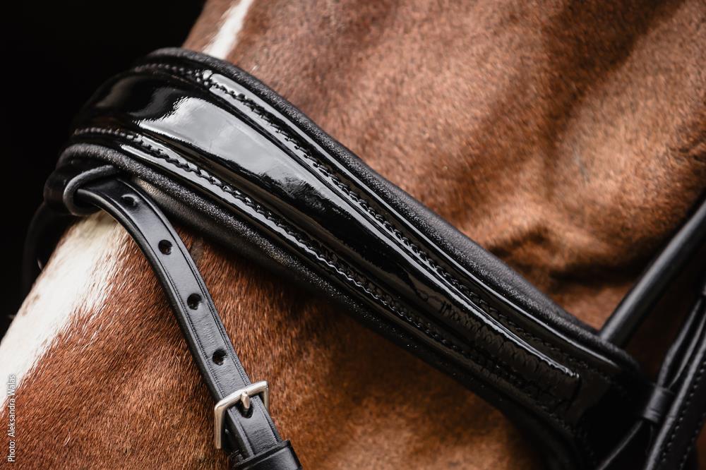 Isabell Werth Trense Satchmo black/patent/silver