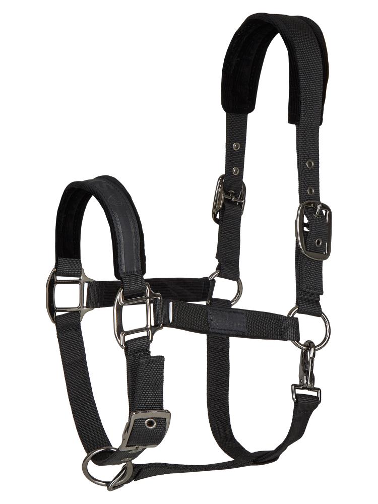 Tim´s Halfter schwarz-Cob