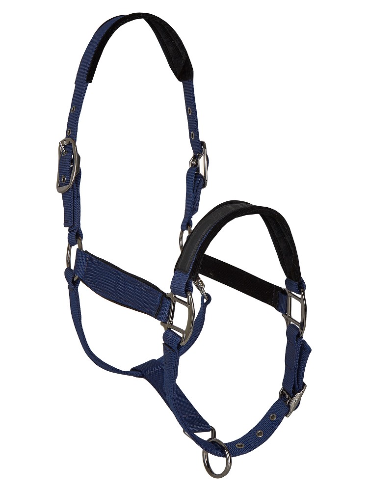 Tim´s Halfter Set mit Führstrick (Karabiner) navy-Cob