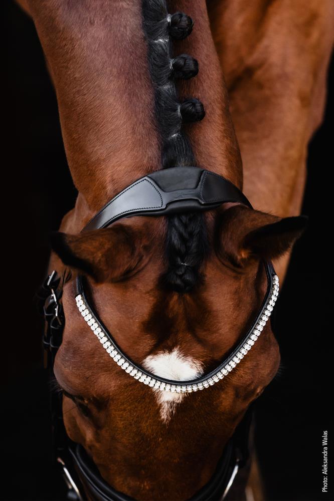 Isabell Werth Trense Johnny black/silver