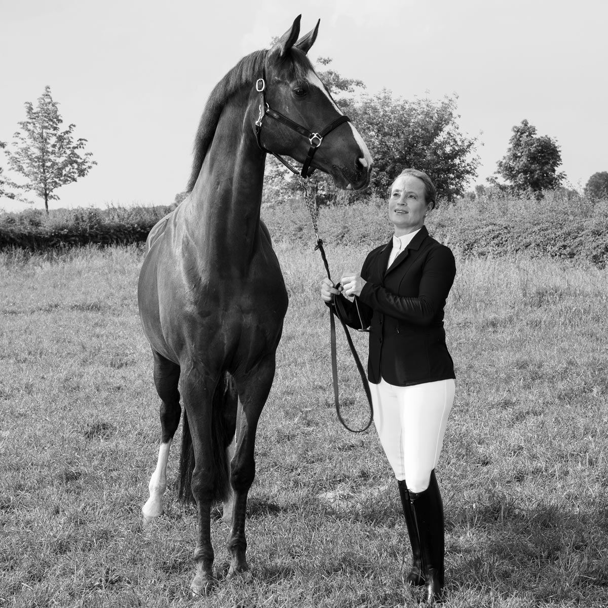 Isabell Werth Leder Halfter Satchmo schwarz-Cob