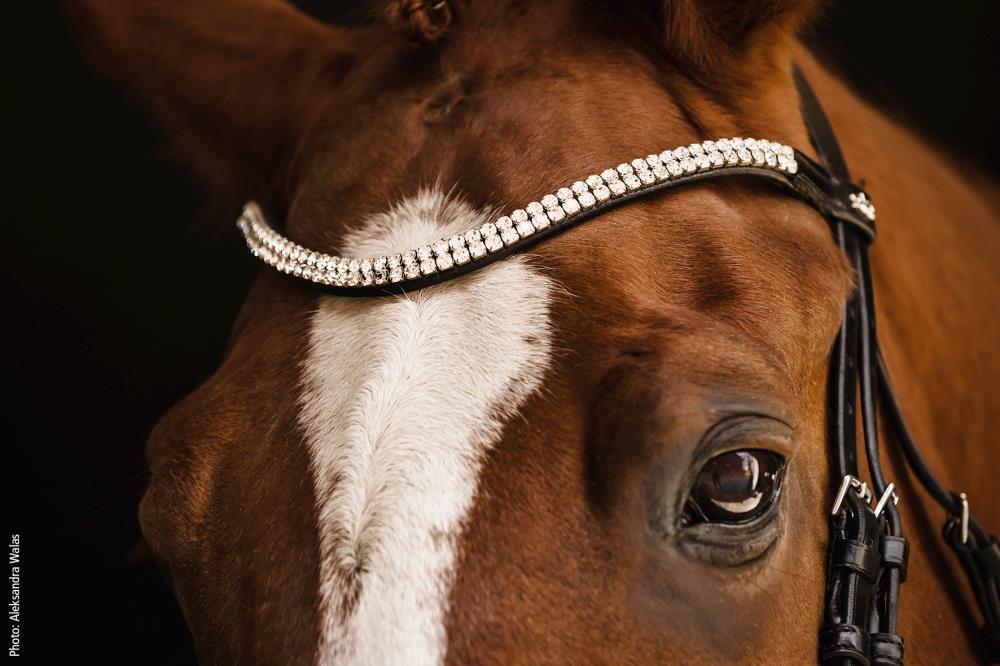 Isabell Werth Trense Johnny black/silver