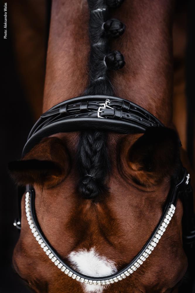 Isabell Werth Kandare Bella Rose black/silver