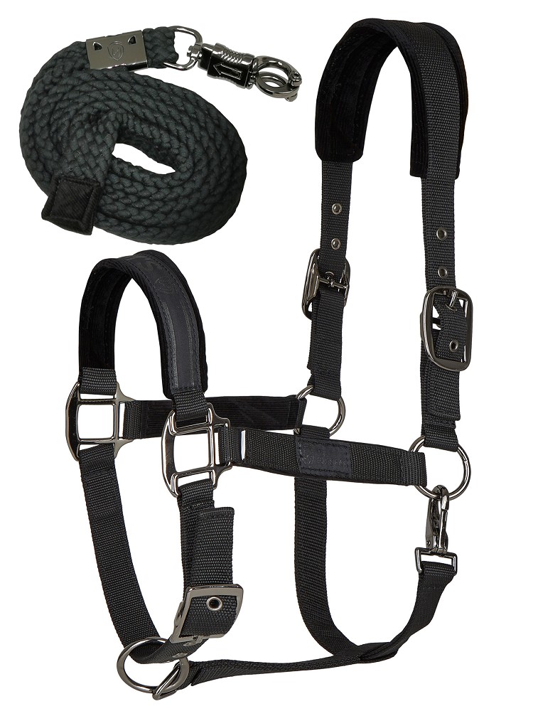 Tim´s Halfter Set mit Führstrick (Panikhaken) schwarz-Cob Tim´s Halfter Set mit Führstrick (Panikhaken) schwarz-Cob
